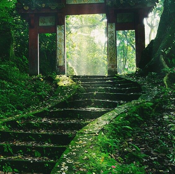 Overgrown steps leading to an old Japanese shrine gate
