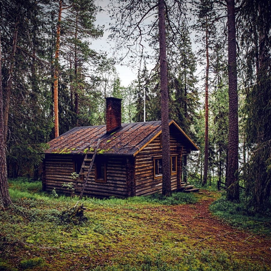 Log cabin in the woods